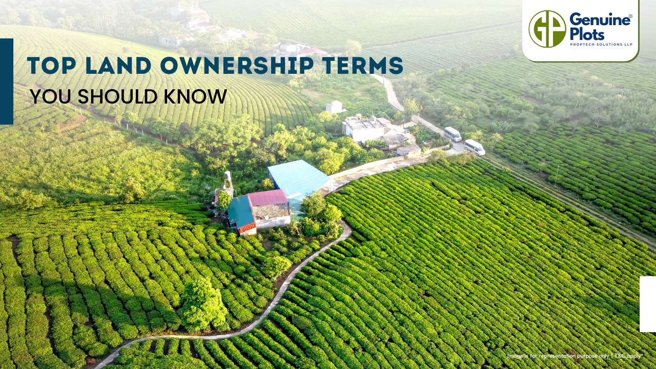 Top Land Ownership Terms You Should Know